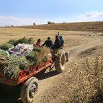 توانمند سازی نیروی انسانی در روستا